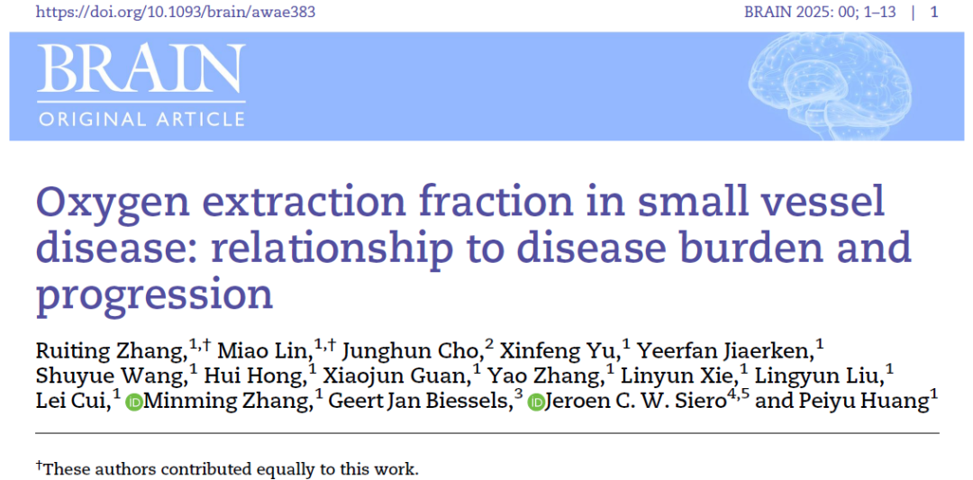 浙大二院张敏鸣教授团队于Brain杂志发表脑小血管病研究成果 | 智学导航