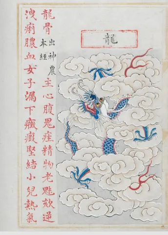 龙与中医药文化的不解之缘，这些你都知道吗？ | 文澜智汇