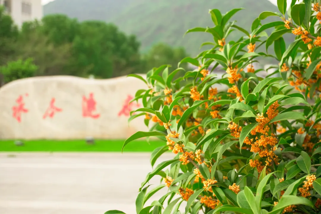 本科教育65周年特辑 | 中医药原创主题话剧《大医精诚·寻找孙思邈》再度上演